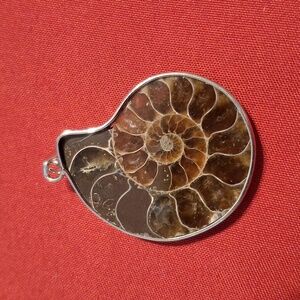 Ammonite Fossil Pendant 1